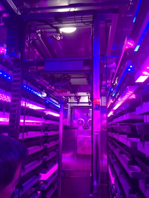 LED栽培内部