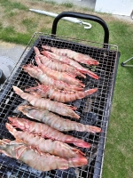 sakura-h3009-bbq-4.jpg