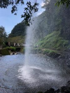 blog5_convert_20191002183950