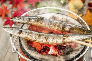 秋です、食欲の秋などなど私の過ごし方