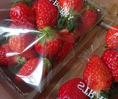 【スタッフ日記】いちご狩り
