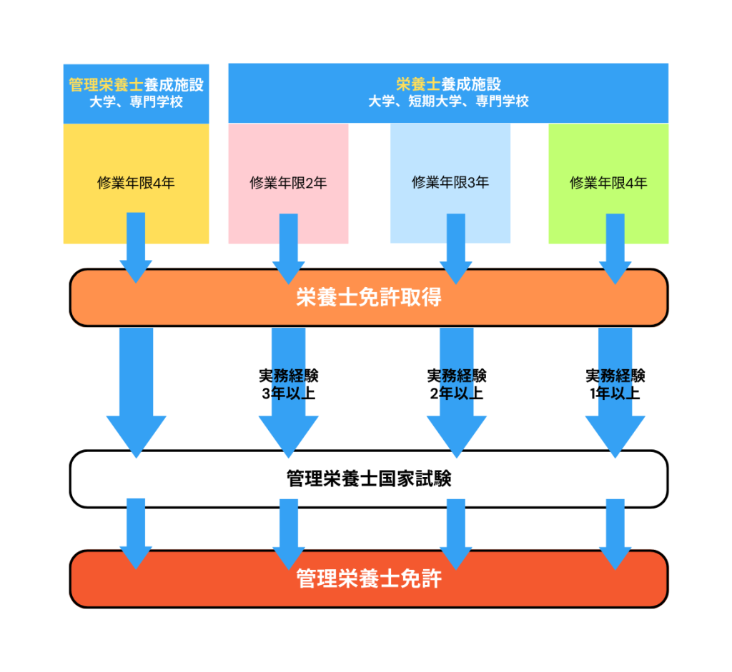 管理栄養士免許取得図