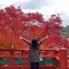 【スタッフ日記】久しぶりの社員旅行♪